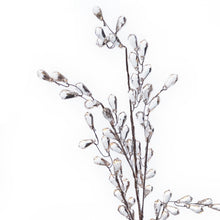 Load image into Gallery viewer, Crystal Weeping 18in Spray

