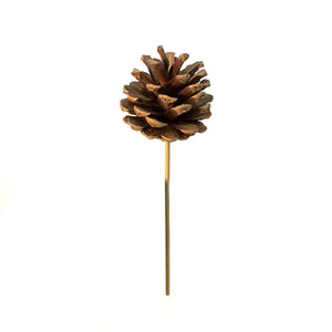 Natural Pine Cone Plant Pick