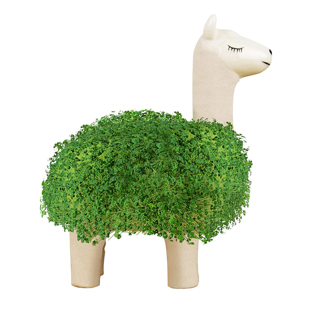 Chia Pet Llama Planter w/ Seeds