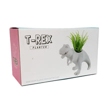 Load image into Gallery viewer, T-Rex Planter
