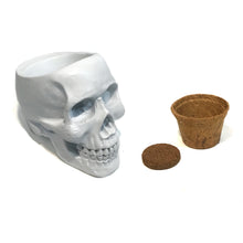 Load image into Gallery viewer, Skull Planter, Cactus Grow Kit
