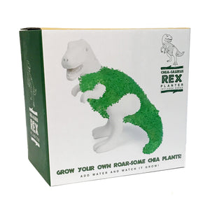 Chia Pet T-rex Planter w/ Seeds