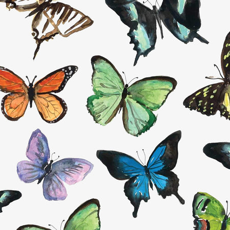 Paper Cocktail Napkin, 20 Count, Mariposa