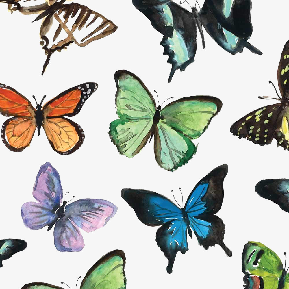 Paper Cocktail Napkin, 20 Count, Mariposa