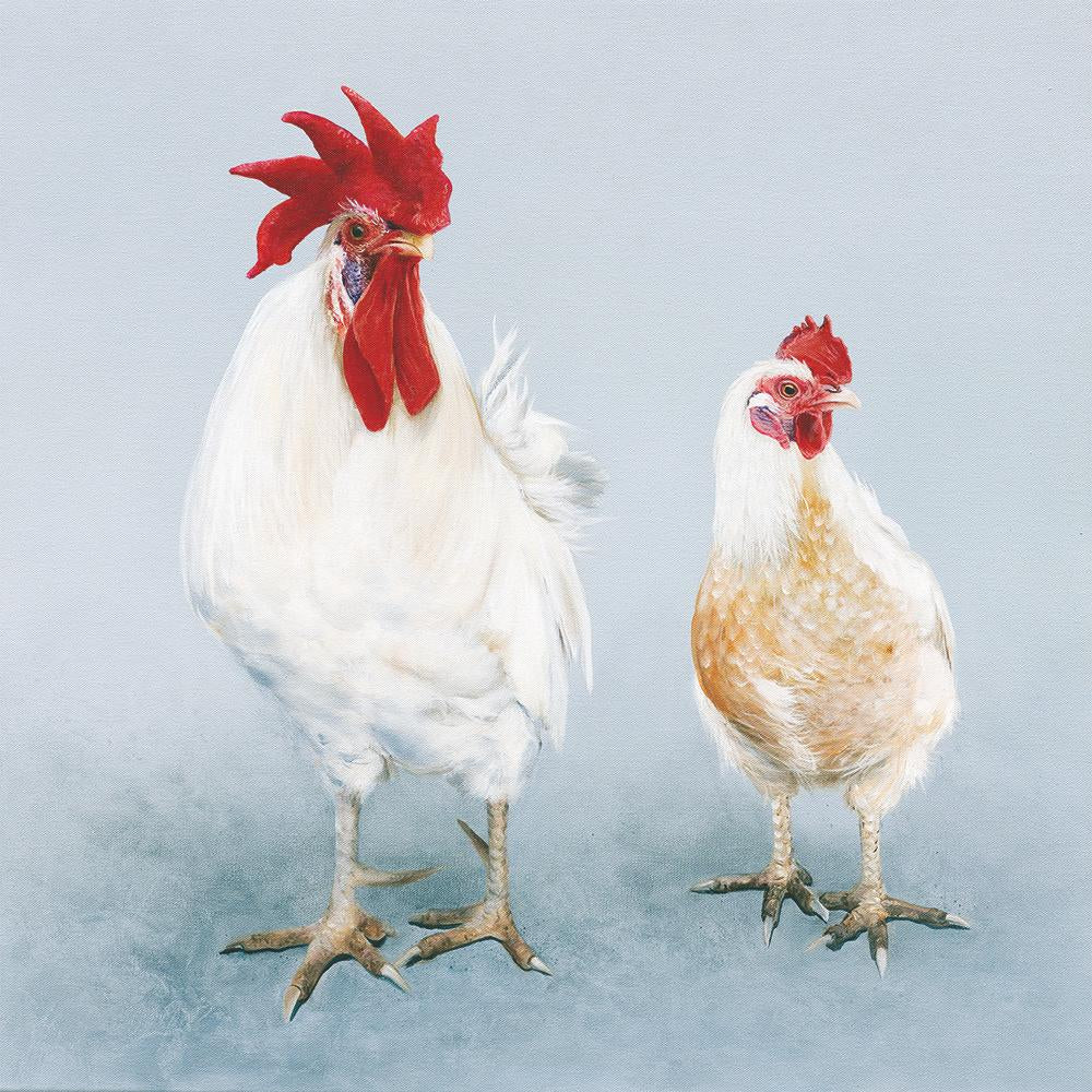 Paper Cocktail Napkin, 20 Count, Meet The Flockers
