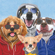 Paper Cocktail Napkin, 20 Count, Chillin Dogs