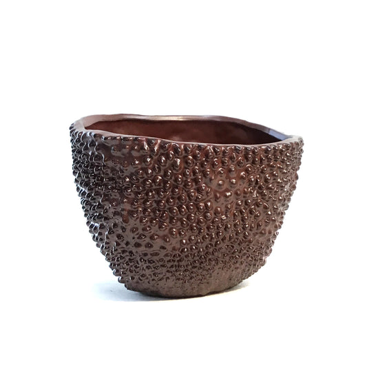 Pot, 5in, Raised Matte Brown Dots