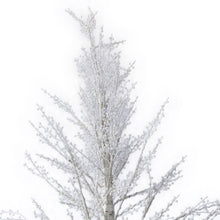 Load image into Gallery viewer, Decor, Light Up White Birch Tree, 6ft
