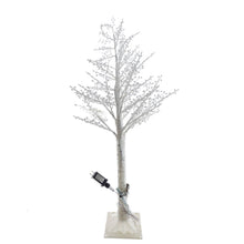 Load image into Gallery viewer, Decor, Light Up White Birch Tree, 4ft
