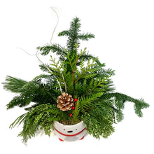 Load image into Gallery viewer, Christmas Planter, 4in Polar Bear
