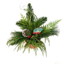 Load image into Gallery viewer, Christmas Planter, 4in Red Electroplated
