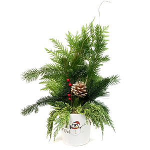 Christmas Planter, White Pot, Christmas Greeting