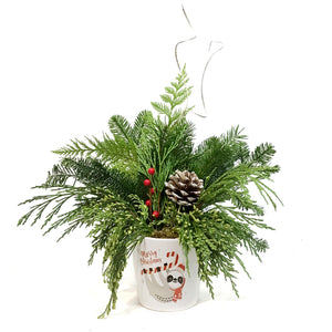 Christmas Planter, White Pot, Christmas Greeting