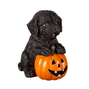 Decor, LED Halloween Dogs, 5 Assorted