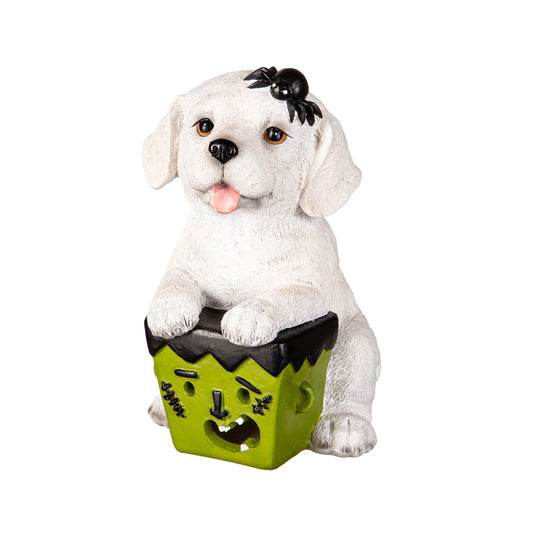 Decor, LED Halloween Dogs, 5 Assorted