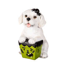 Load image into Gallery viewer, Decor, LED Halloween Dogs, 5 Assorted
