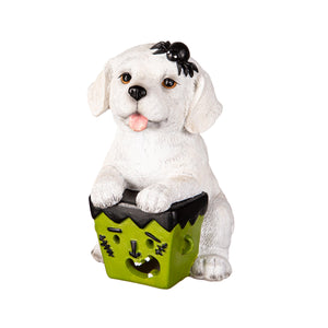 Decor, LED Halloween Dogs, 5 Assorted