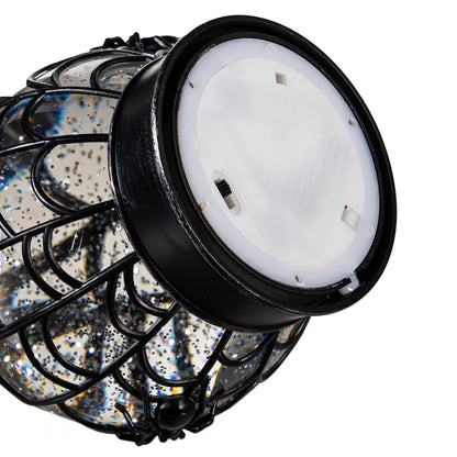 Witches Spider Web Globe