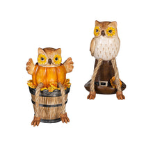 Load image into Gallery viewer, Decor Harvest Owls, Assorted
