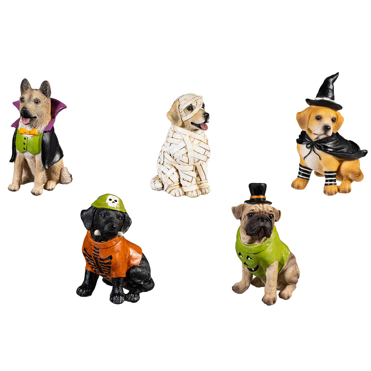 Decor, Dogs In Halloween Costumes, 5 ASST