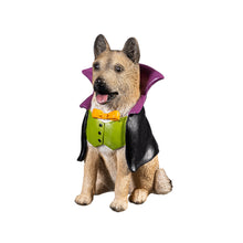 Load image into Gallery viewer, Decor, Dogs In Halloween Costumes, 5 ASST
