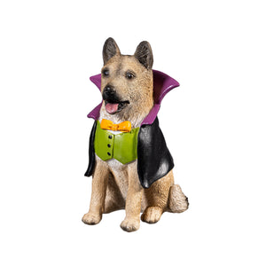 Decor, Dogs In Halloween Costumes, 5 ASST