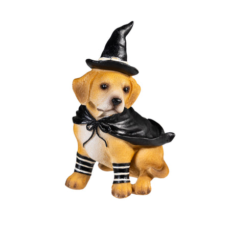 Decor, Dogs In Halloween Costumes, 5 ASST