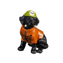 Load image into Gallery viewer, Decor, Dogs In Halloween Costumes, 5 ASST
