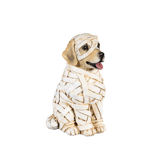 Decor, Dogs In Halloween Costumes, 5 ASST