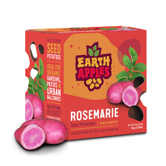 Seed Potato - Rosemarie, Earth Apples, 1kg Box