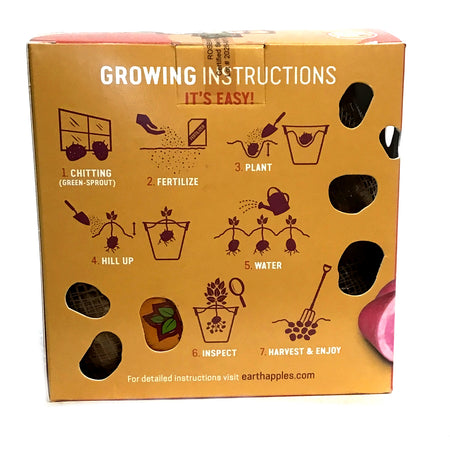 Seed Potato - Rosemarie, Earth Apples, 1kg Box