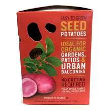 Load image into Gallery viewer, Seed Potato - Rosemarie, Earth Apples, 1kg Box
