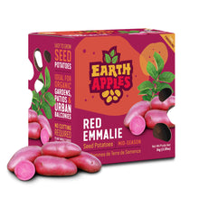 Load image into Gallery viewer, Seed Potato - Red Emmalie, Earth Apples, 1kg Box
