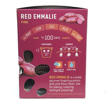 Load image into Gallery viewer, Seed Potato - Red Emmalie, Earth Apples, 1kg Box
