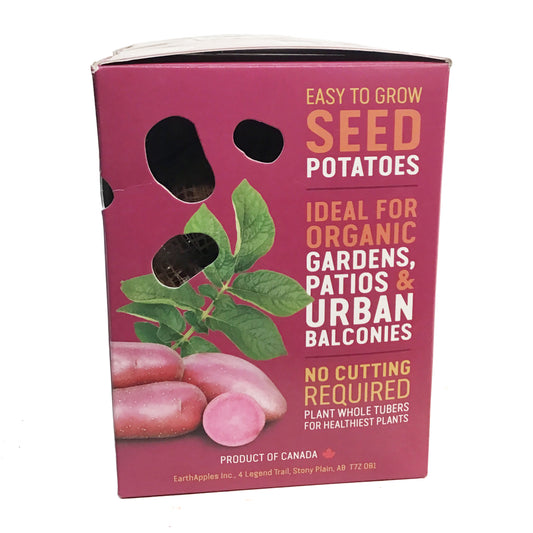 Seed Potato - Red Emmalie, Earth Apples, 1kg Box