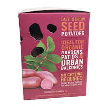Load image into Gallery viewer, Seed Potato - Red Emmalie, Earth Apples, 1kg Box
