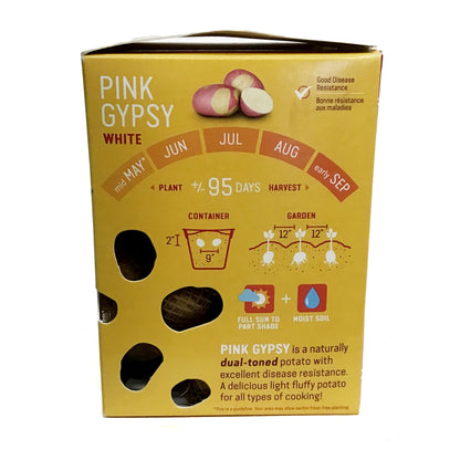 Seed Potato - Pink Gypsy, Earth Apples, 1kg Box