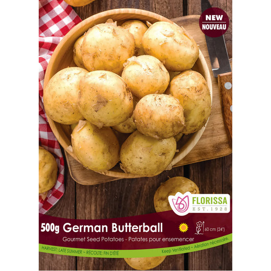 Seed Potato - German ButterBall, 500g