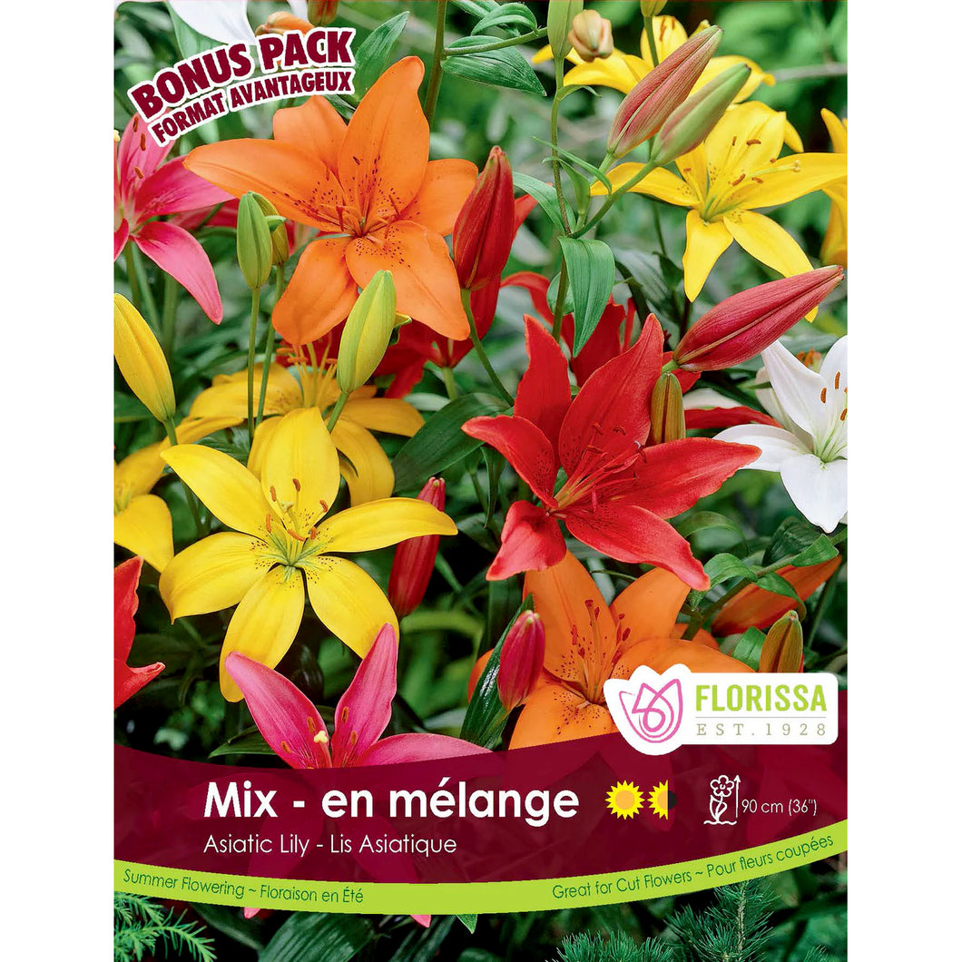 Lily, Asiatic Mix 10 Pack