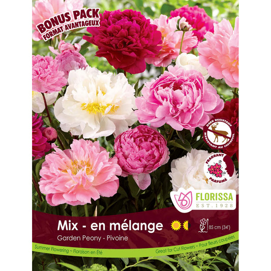 Peony Mix 3 Pack