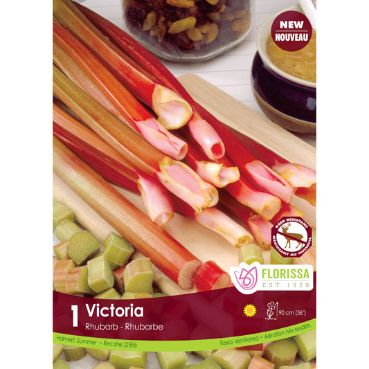 Rhubarb - Victoria Bulbs, 1 Pacl