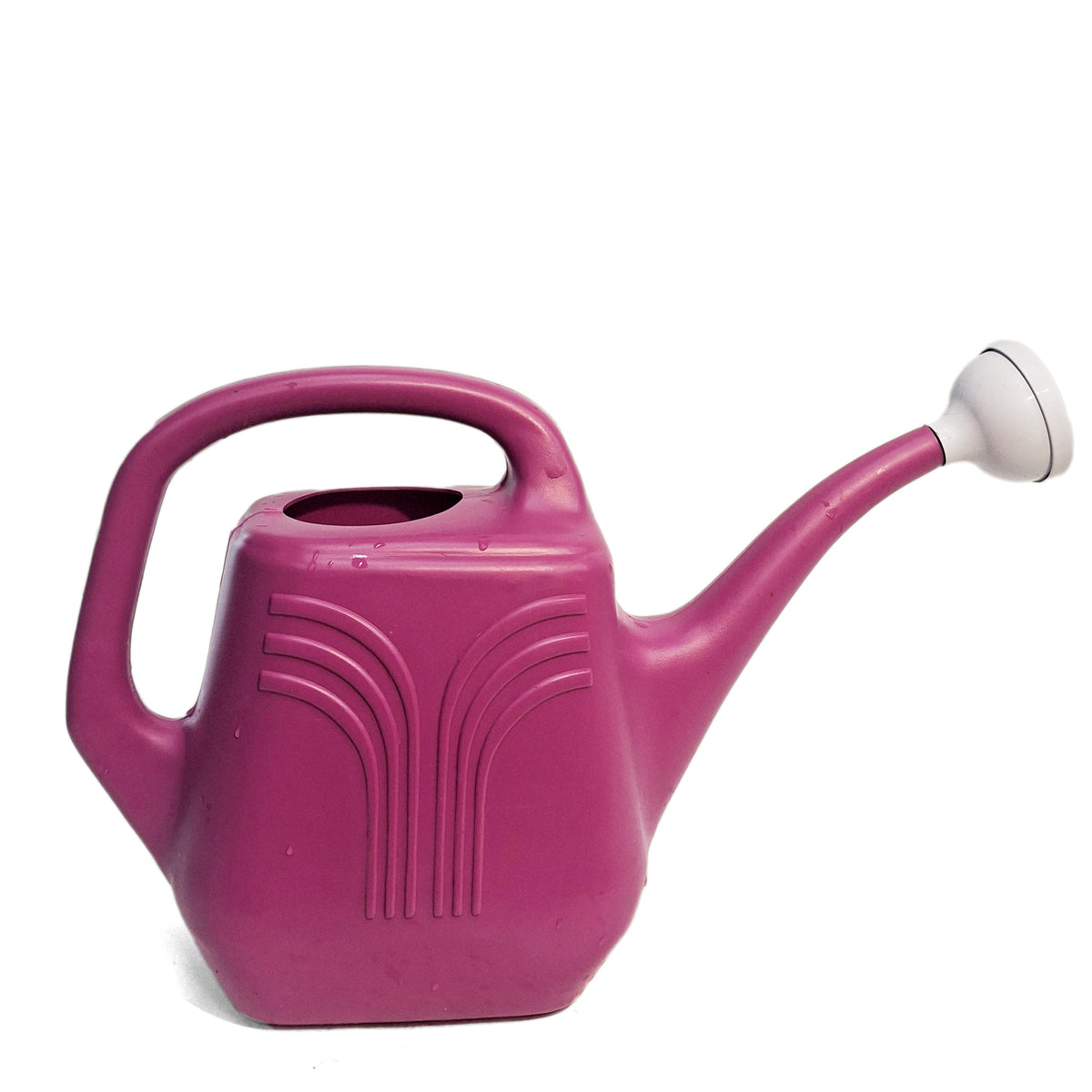 2 Gallon Classic Watering Can Assorted