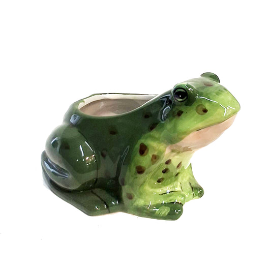 Planter, 8in Frog
