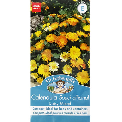 Calendula -Daisy Mixed Seeds, Mr Fothergills