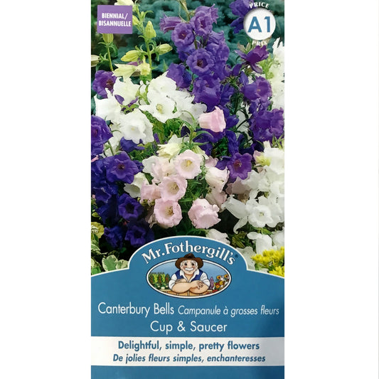 Canterbury Bells - Cup & Saucer Mixture Seeds, OSC
