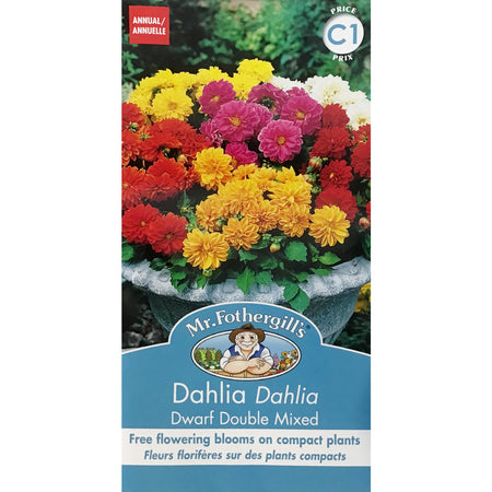 Dahlia - Dwarf Double Mix Seeds, FG