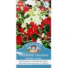 Load image into Gallery viewer, Nicotiana - Sensation Mixed Seeds, FG
