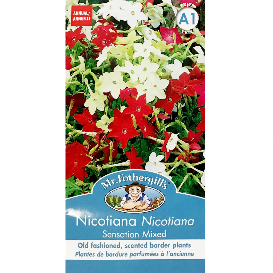 Nicotiana - Sensation Mixed Seeds, FG