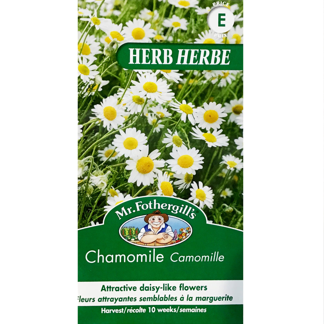 Chamomile Seeds, FG