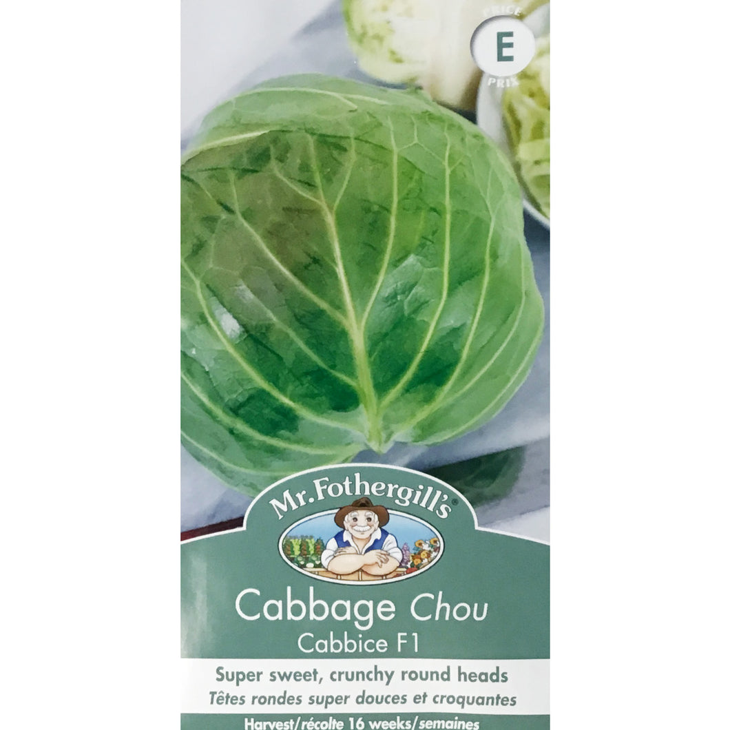 Cabbage - Cabbice F1 Seeds, FG